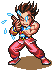SD Hiryu